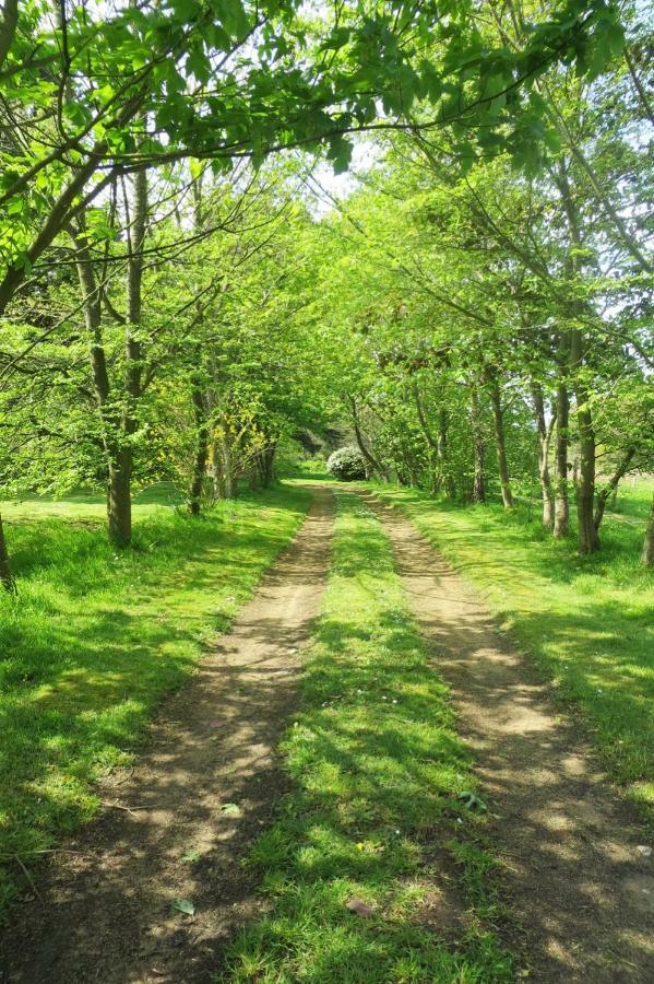Les Creches De Boiseon Villa Penvénan Kültér fotó